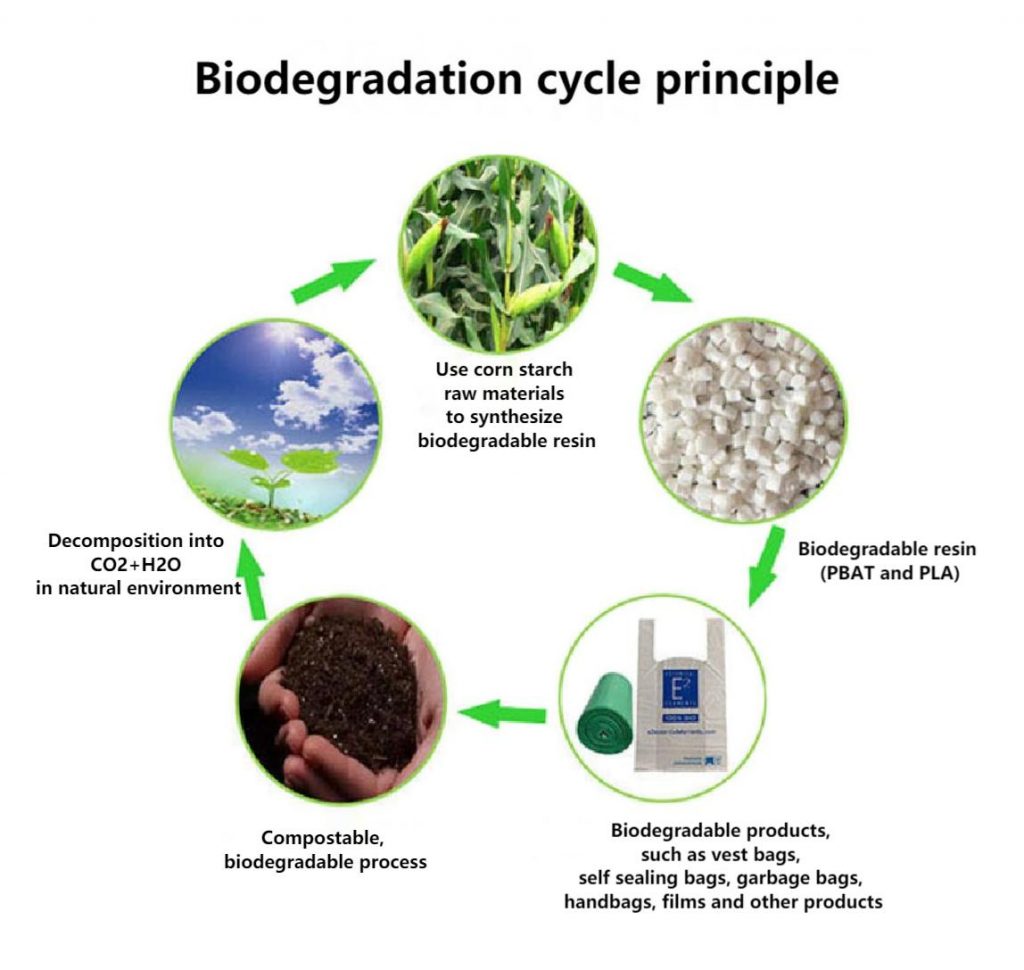 Biodegradation cycle principle